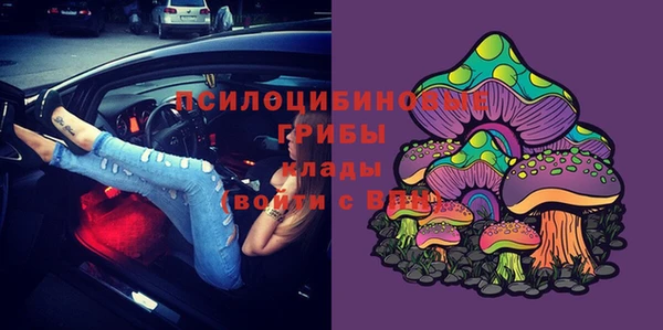 СК Арсеньев